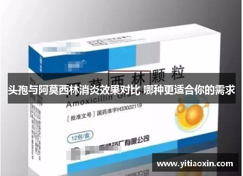 头孢与阿莫西林消炎效果对比 哪种更适合你的需求