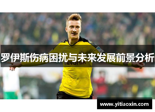罗伊斯伤病困扰与未来发展前景分析